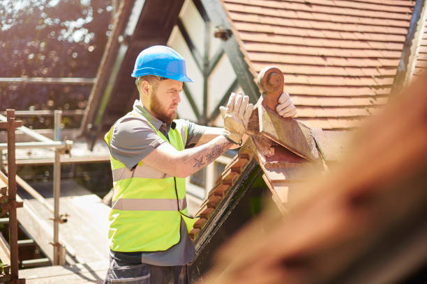 Best Roof Gutter Cleaning  in Brooklyn, WI
